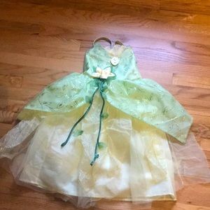 Disney princess & the frog costume